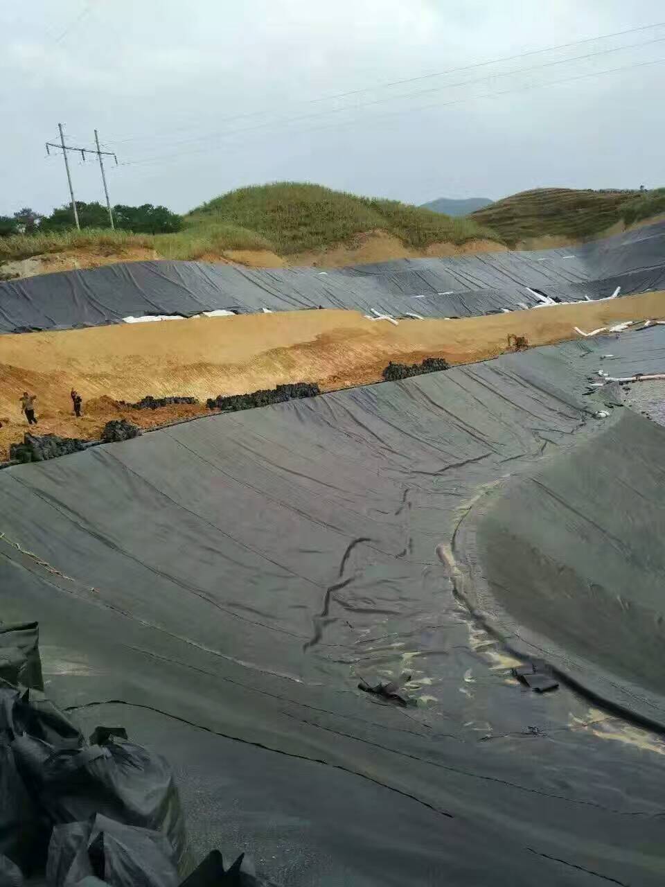 Ĥʩ