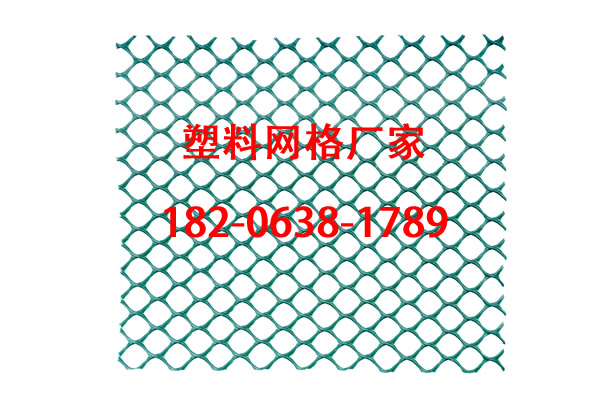 ϾW(wng)